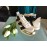 Elisabetta Franchi sneakers colore bianco nero e oro e log su tomaia punta rotonda, tomaia a treccia misura 40